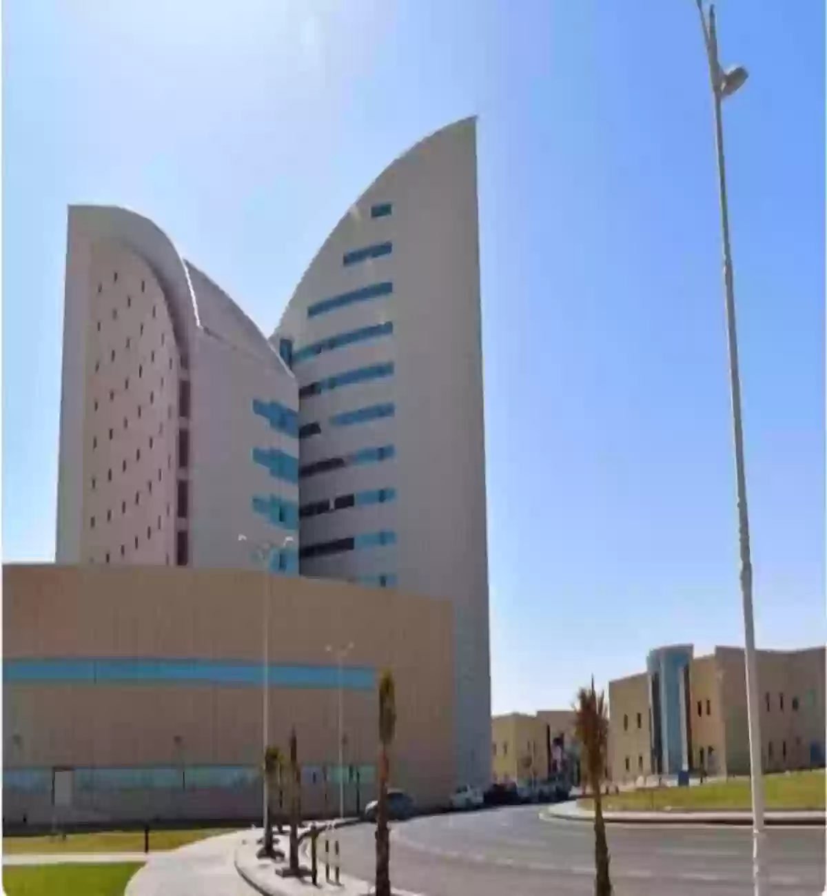 جامعة نجران 