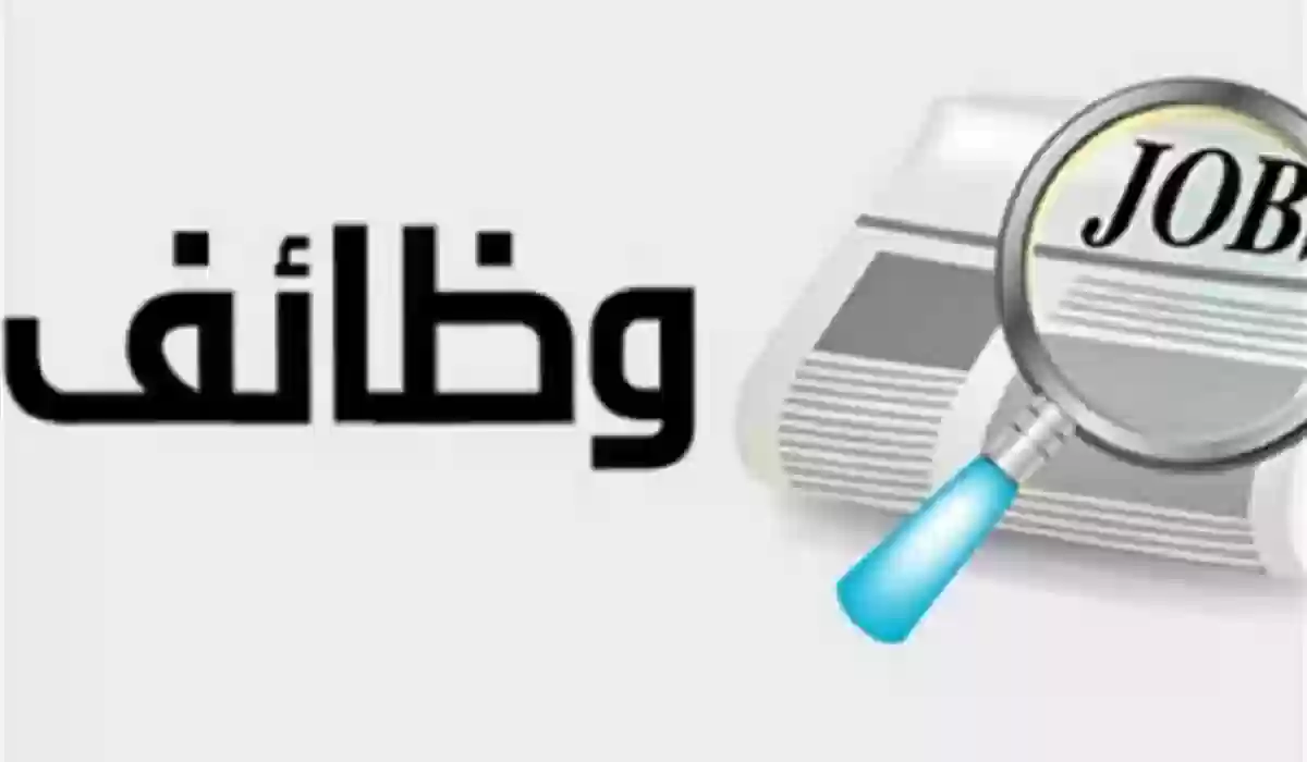 فرص عمل شاغرة تنتظركم، تعرفوا على التخصصات المطلوبة واحصلوا على دليل التقديم المثالي