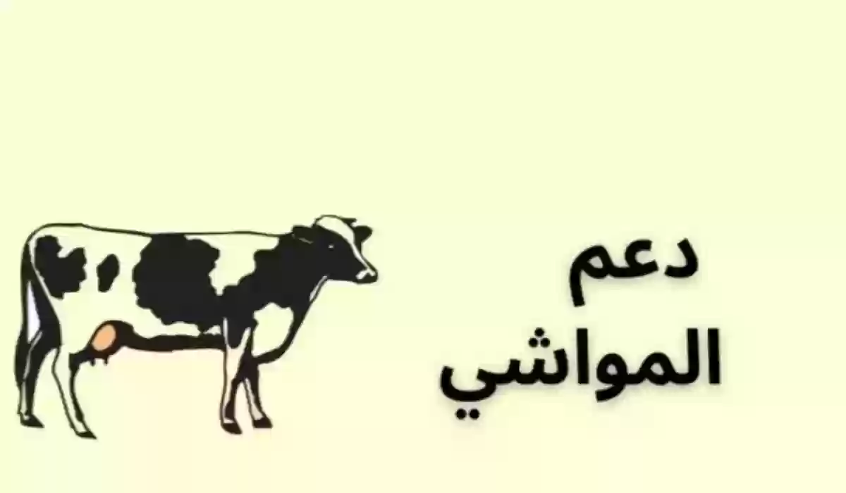 خطوات تحديث بيانات دعم مربي المواشي الجديد 1445