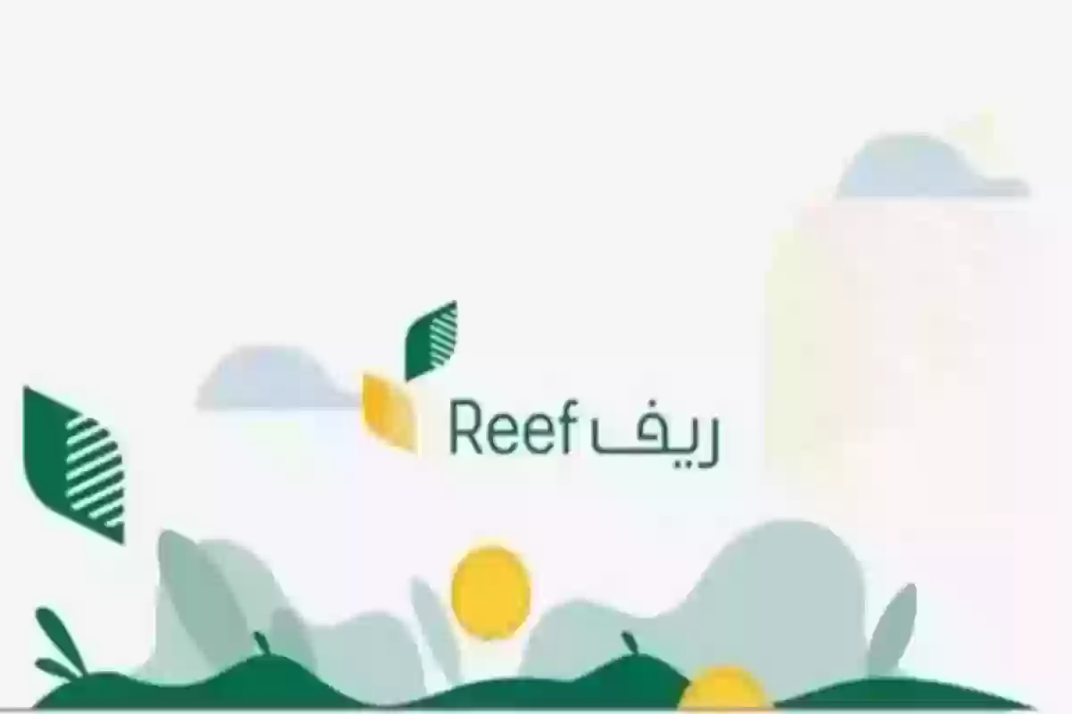 أقصى مدة للرد على أهلية ريف