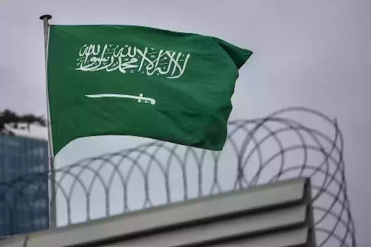 ما الذي يميز علم المملكة العربية السعودية؟ نظام العلم