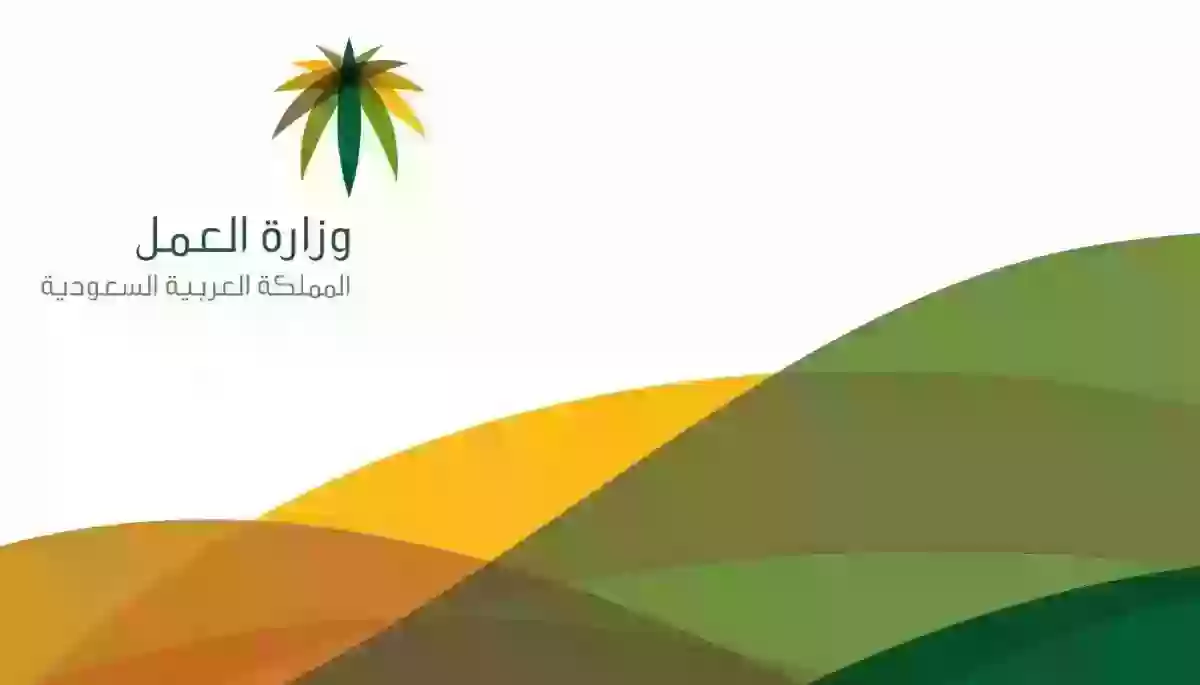 بدون كفيل | كيفية نقل الكفالة في المملكة العربية السعودية وكم الرسوم المطلوبة